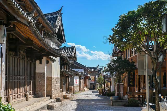限量500张!59.9元玩转湖州长颈鹿庄园